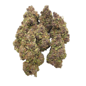 Purple Gas – 1lb