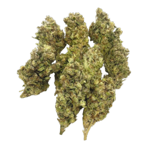 Permanant Gas – 1 lb